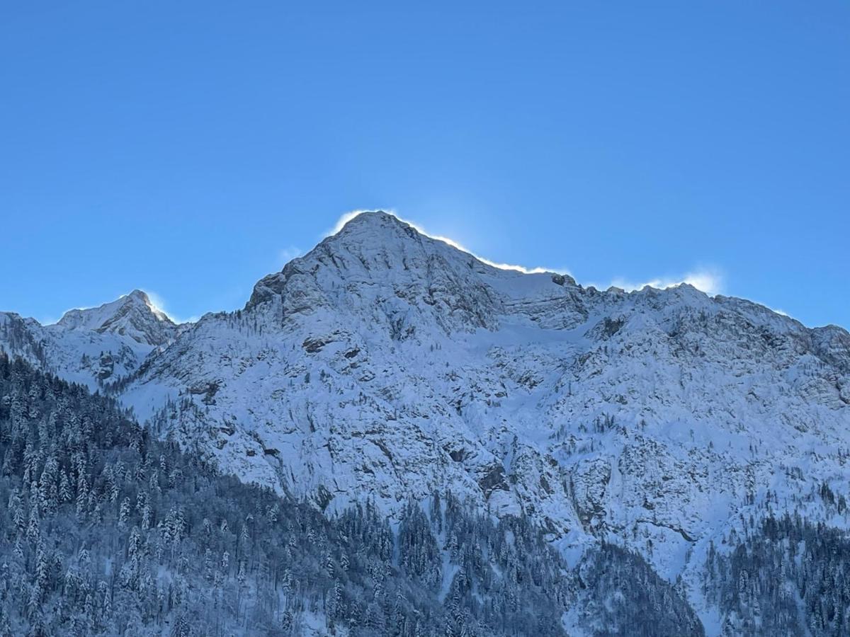 Gasthof Lamprechtbauer Kotschach-Mauthen