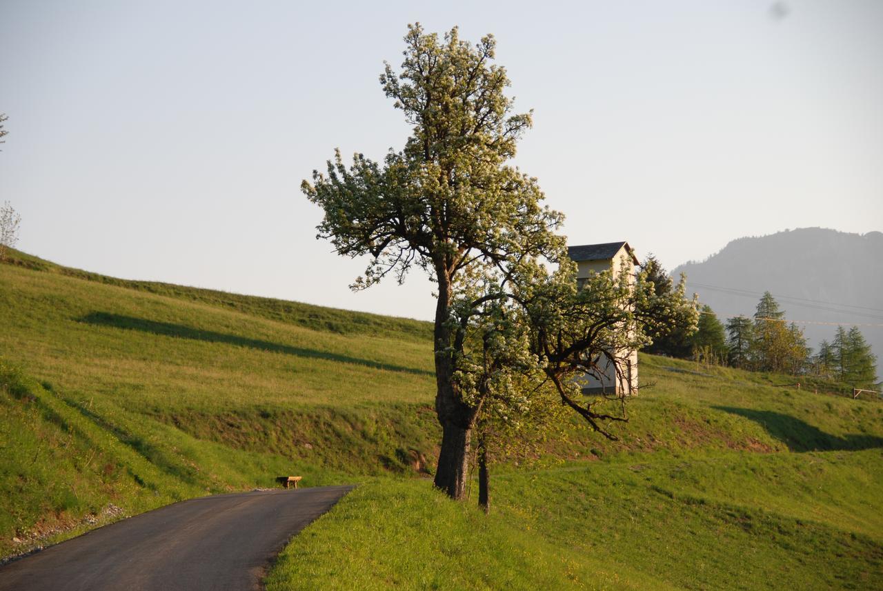 Lamprechtbauer Kotschach-Mauthen